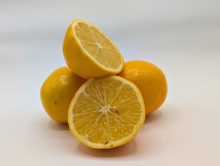 The Zestful Life: Embracing the Power of Lemons