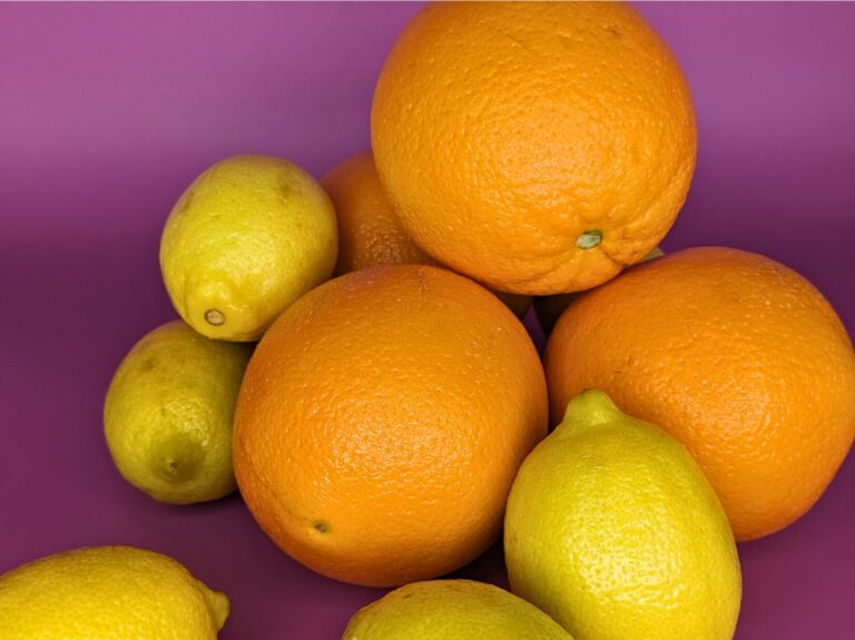 Celebrate Citrus – Embrace the Sunshine on Your Plate