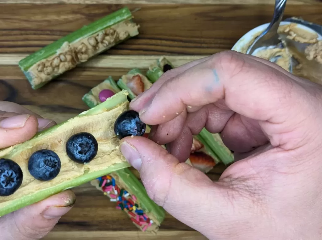 ants on a log with blueberries