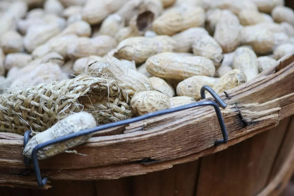 photo of shelled peanuts